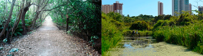 Parque Estadual do Rio Cocó Fortaleza